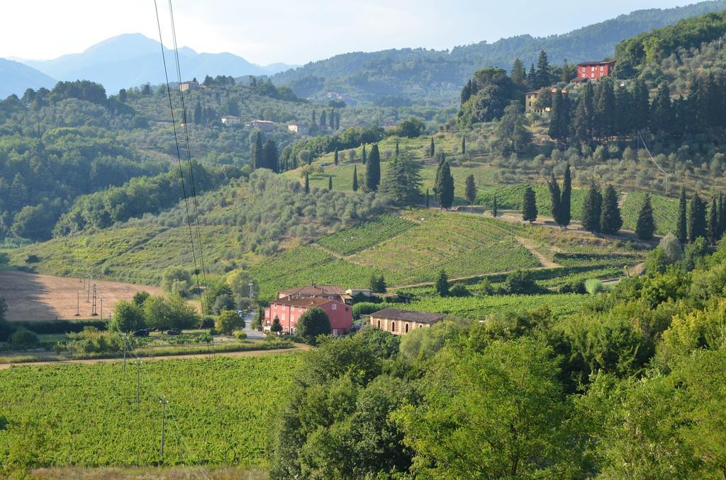 Agriturismo Le Murelle Lukka Zewnętrze zdjęcie